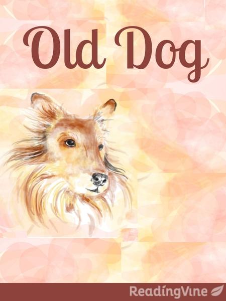 reading comprehension exercises for 6th grade