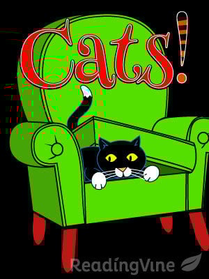 Cat Stories