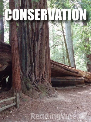 Conservation