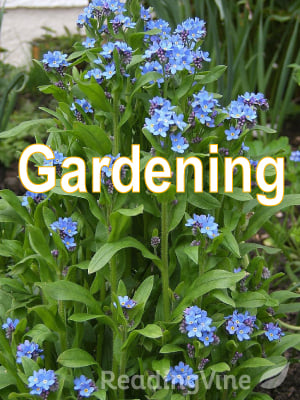 Gardening