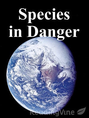 Species in Danger