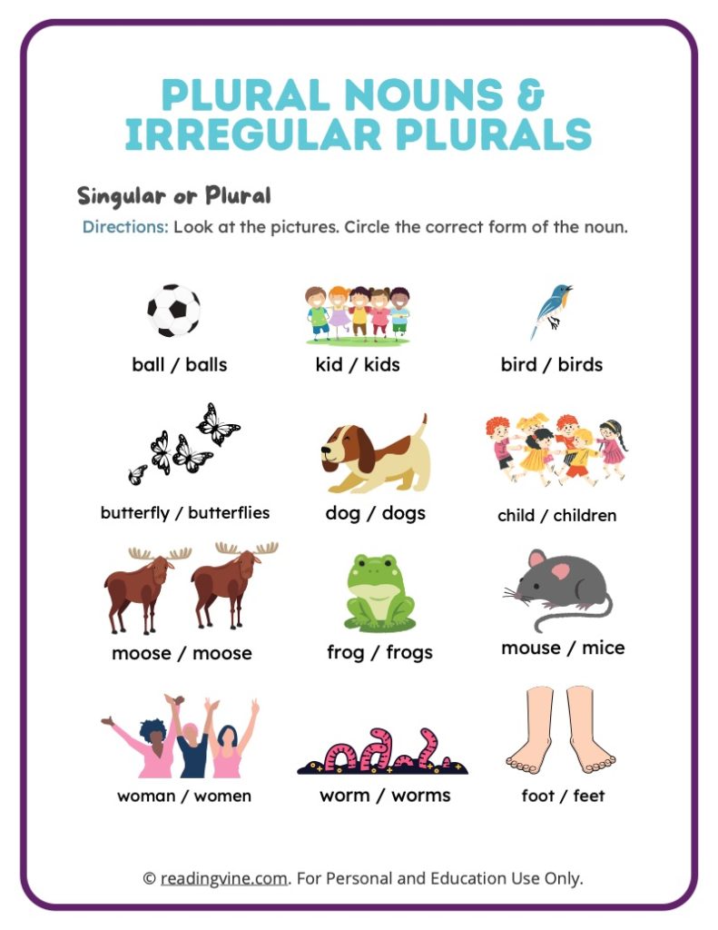 Circle the Plural Nouns and Irregular Plurals Activity