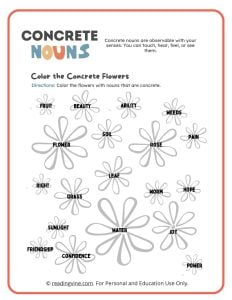 Color the Concrete Nouns Coloring Activity