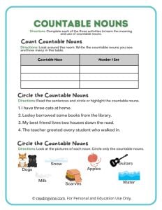 Count and Circle the Countable Nouns Activity