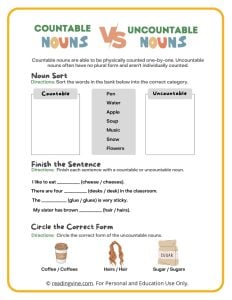 Countable vs Uncountable Nouns Printable Activity