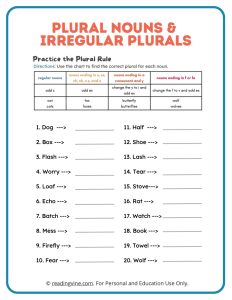 Practice the Plural Rule with Plural Nouns and Irregular Plurals Activity