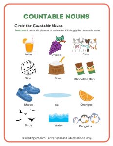 Circle the Countable Nouns Activity