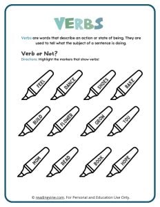 Highlight the verbs activity