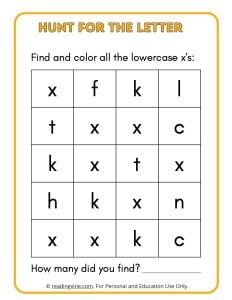 Hunt for the Lowercase Letter X
