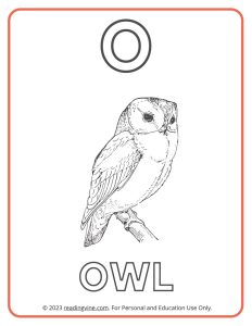 Learning the Alphabet - Uppercase O Printable Coloring Activity