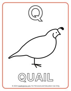 Learning the Alphabet - Uppercase Q Printable Coloring Activity