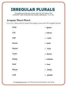 Match the Irregular Plurals Matching Activity
