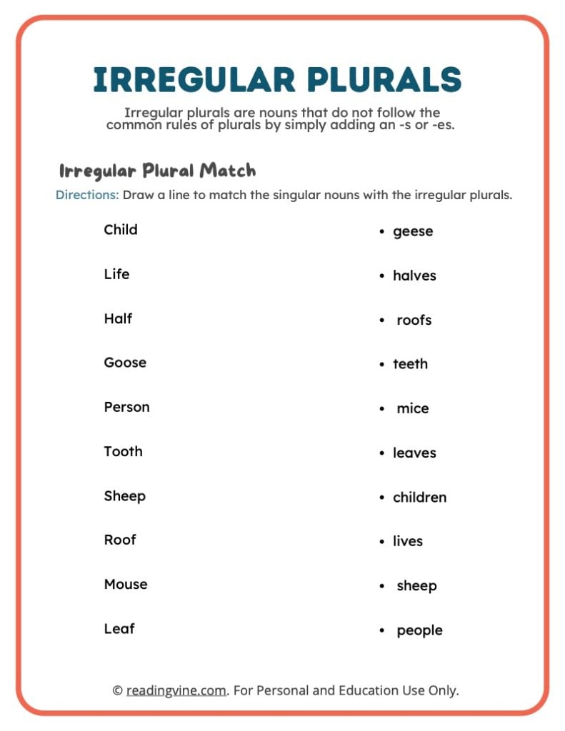 Match the Irregular Plural Nouns