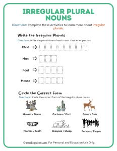 Write the Irregular Plurals and Circle the Correct Form Activity