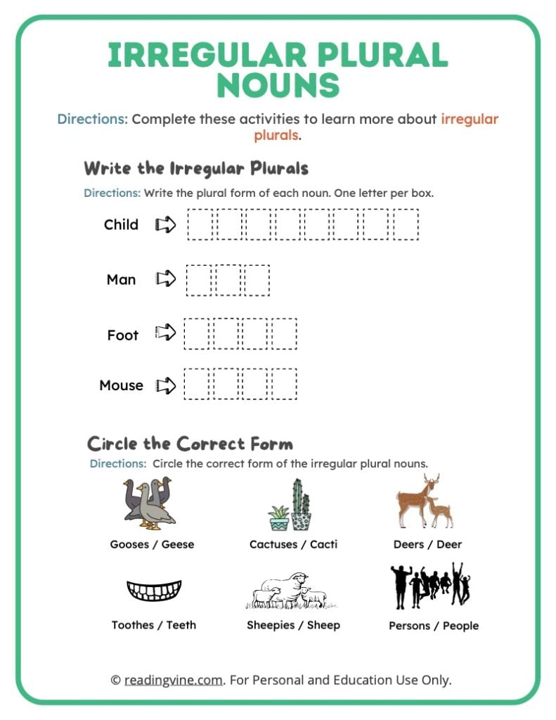 Write and circle the Irregular Plurals Worksheet