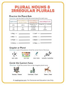 Plural Nouns and Irregular Plurals Printable Activity