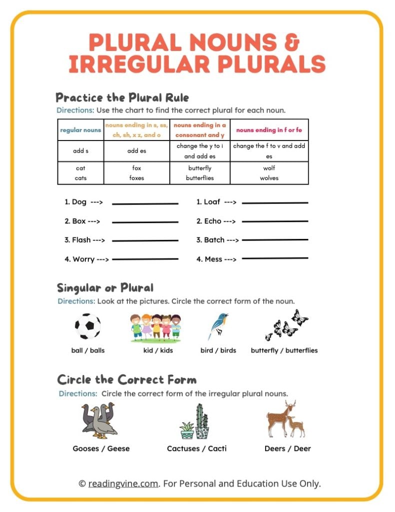 Plural Nouns and Irregular Plurals Printable Activity