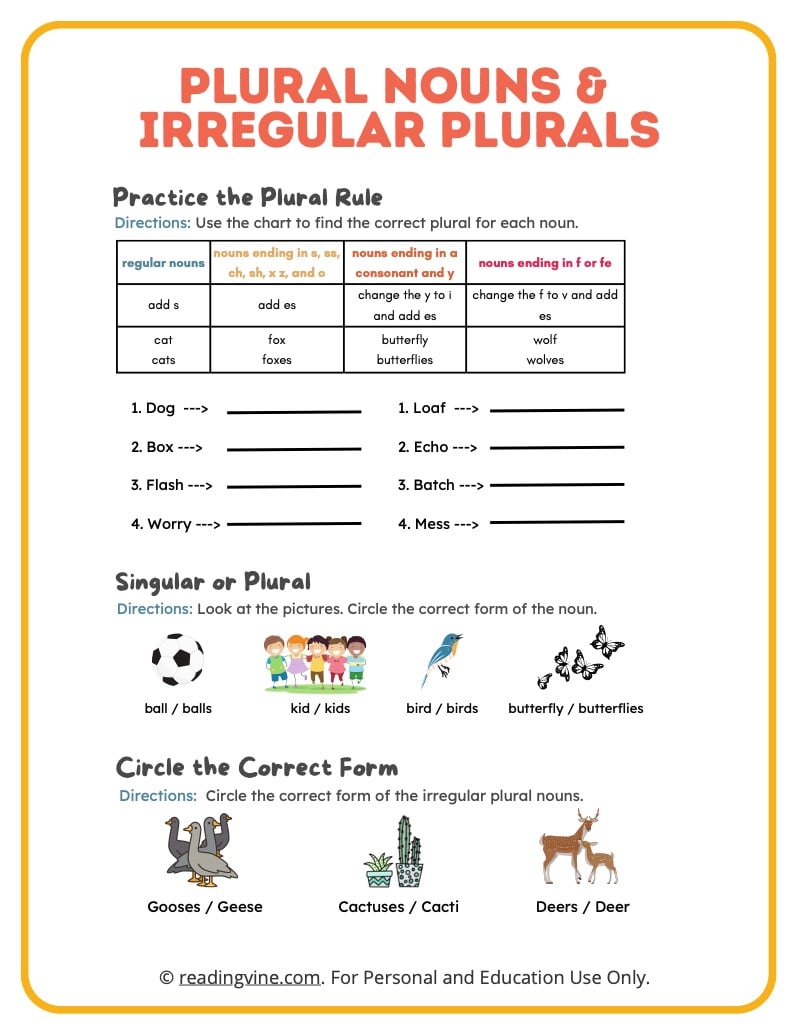 Plural Nouns Practice Worksheet