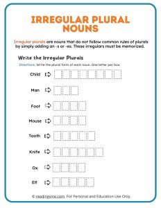 Write the Irregular Plurals Printable Activity
