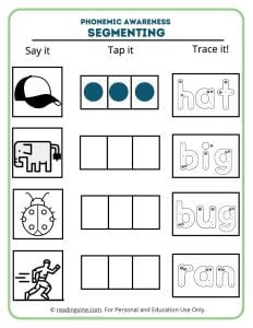 Segmenting phonemic awareness activity