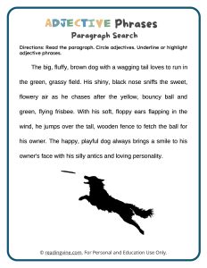 Adjective Phrases Paragraph Search Reading Activity