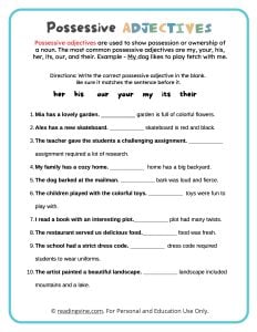 Fill in the Blanks Possessive Adjectives Activity