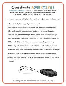 Underline the Coordinate Adjectives Activity