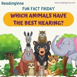 Animals with the best hearing article image