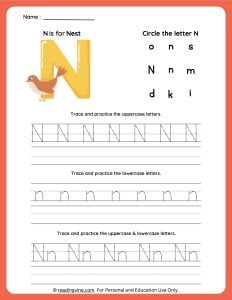 Tracing Uppercase and Lowercase Letter N Worksheet