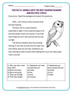 Animals with the best hearing activity packet for younger grades image