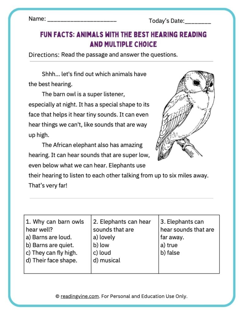 Fun Facts About Animals With the Best Hearing Activity Packet for Younger Grades