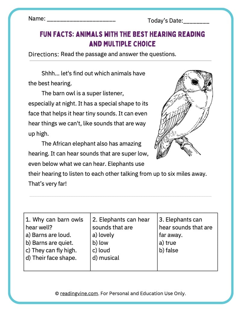 Animals with the best hearing activity packet for younger grades image