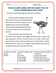 Fun facts about animals with the largest eyes activity packet for younger grades