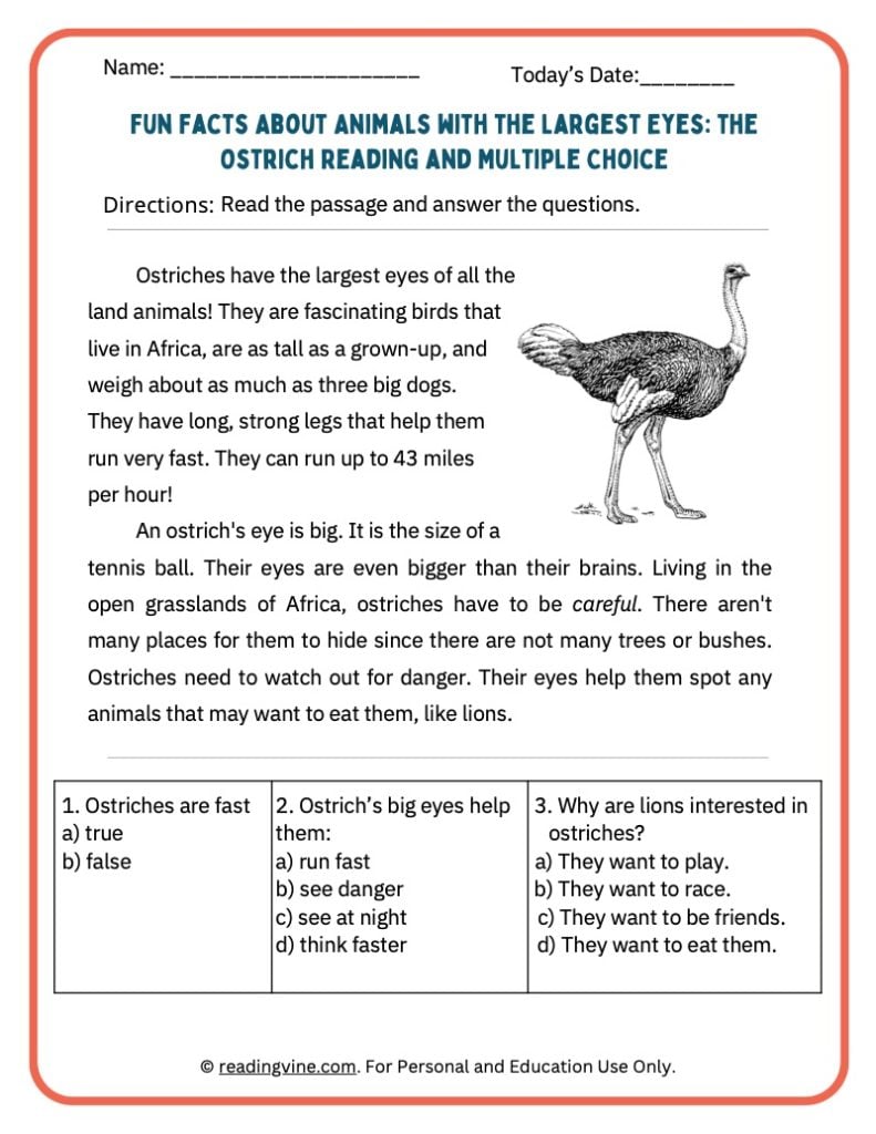Fun Facts About Animals With the Largest Eyes Activity Packet for Younger Grades