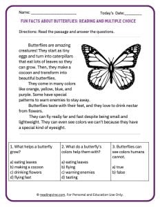 Fun facts about butterflies for younger grades activity image