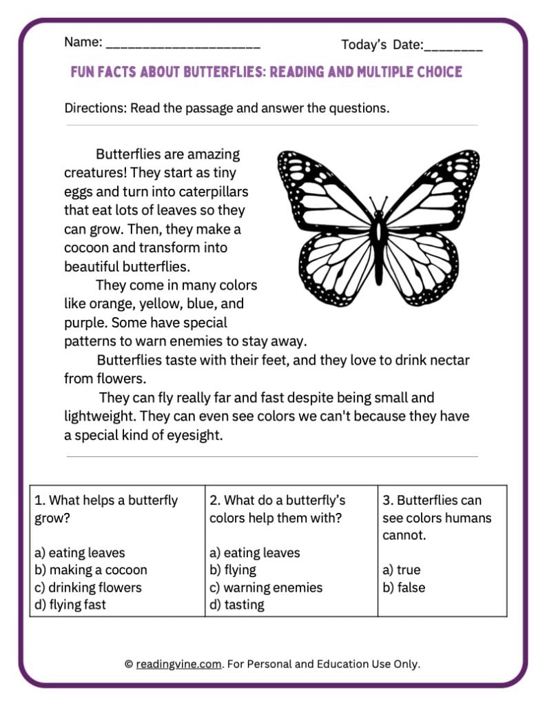Fun Facts About Butterflies Activity Packet for Younger Grades