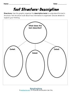 Text Structure Graphic Template