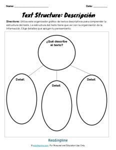 Text Structure Graphic Template Spanish