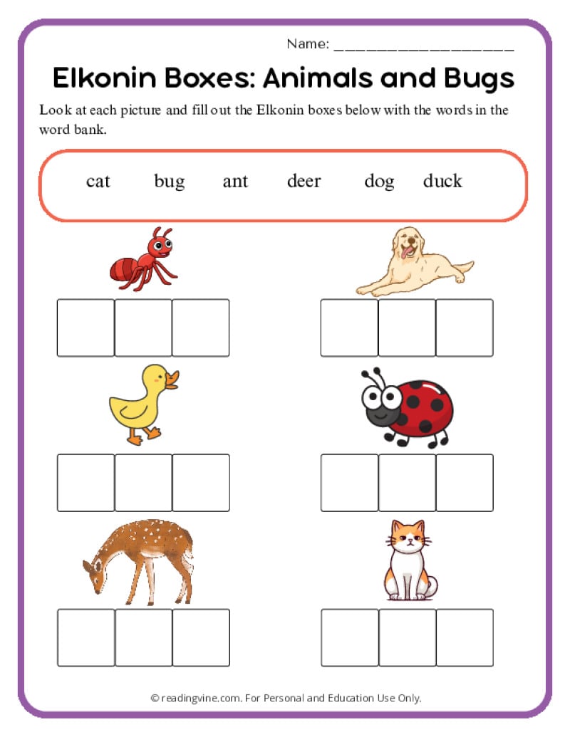 Elkonin Box Activity Animals and Bugs