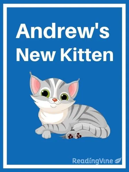 Andrew's New Kitten - Reading Comprehension Exercise