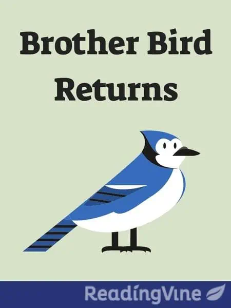 Brother Bird Returns - Reading Comprehension Activity