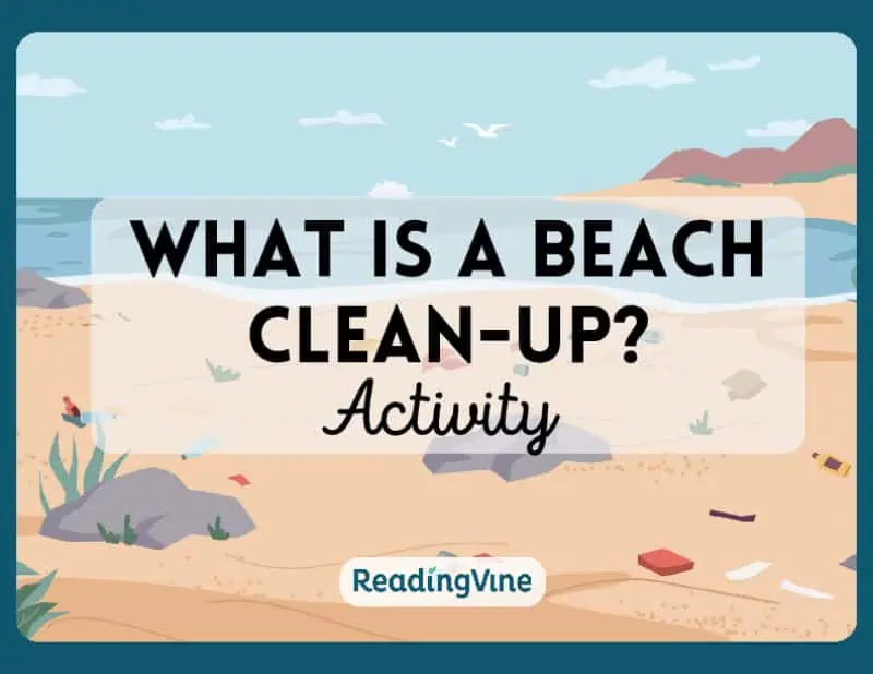 Beach Clean Up Activity Image