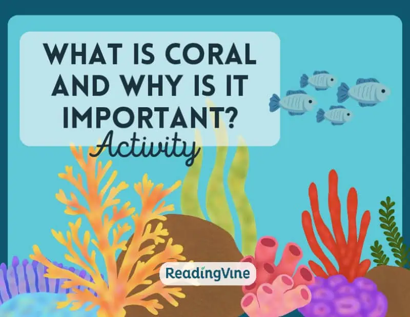 Coral Activity Image
