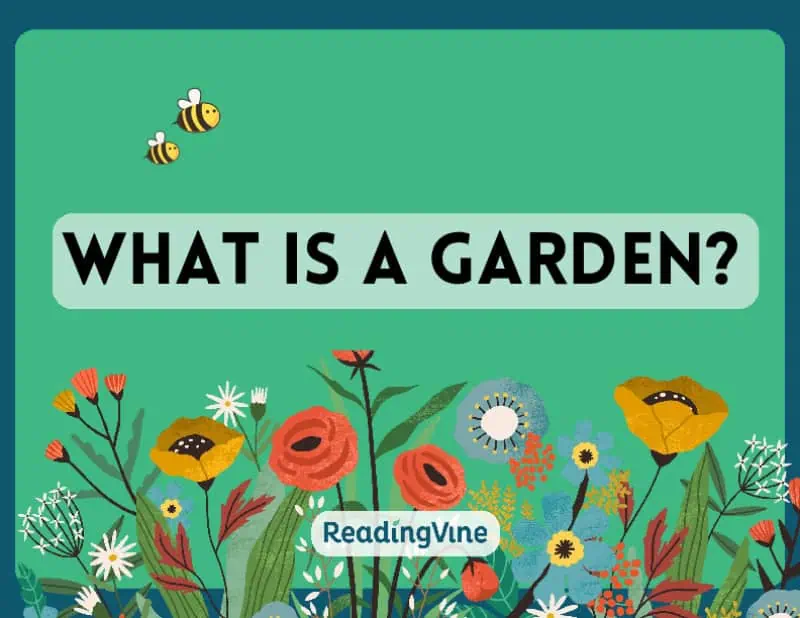 What is a Garden? Presentation image World Environment Day Activity