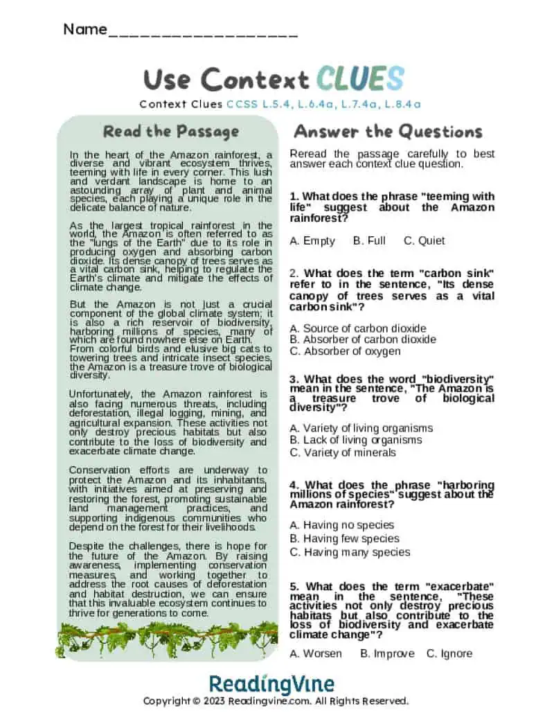 The Amazon Rainforest Reading Passage Activity