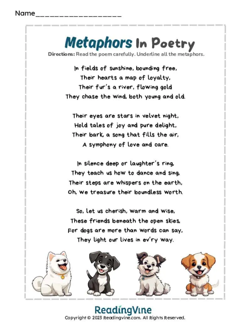 Metaphors in Poetry Worksheet-Image