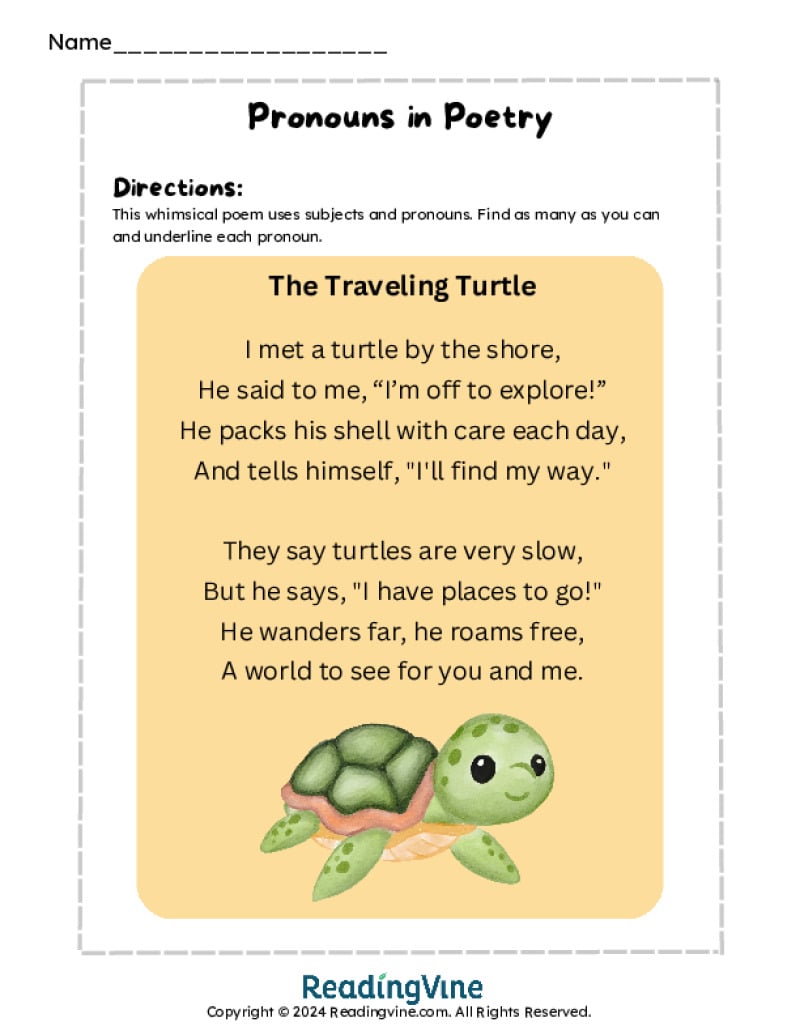Pronoun Worksheet - The Traveling Turtle Poem Activity