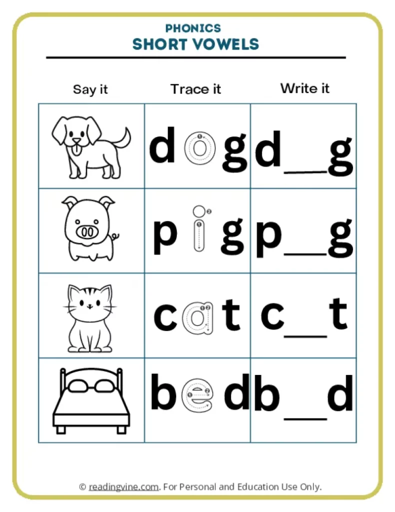Short vowel words dog, pig, cat, bed