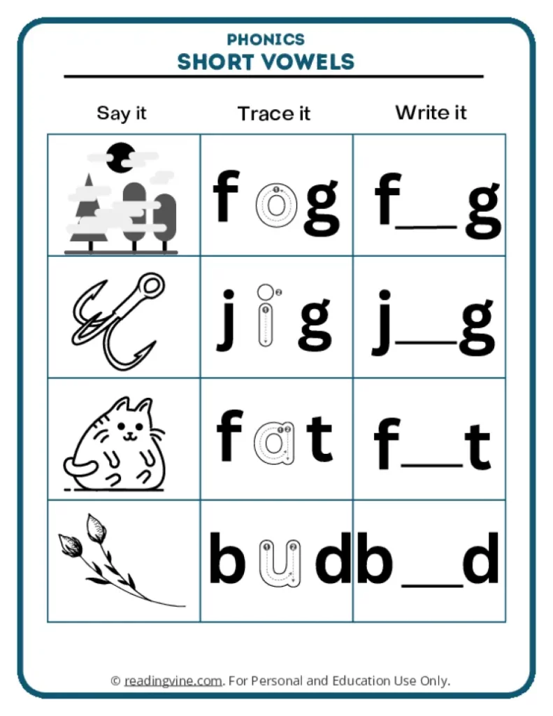 Short vowel words fog, jig, fat, bud