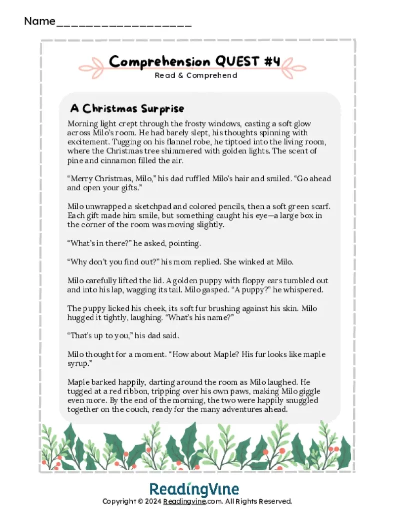 3rd Grade Comprehension Quest #4 A Christmas Surprise